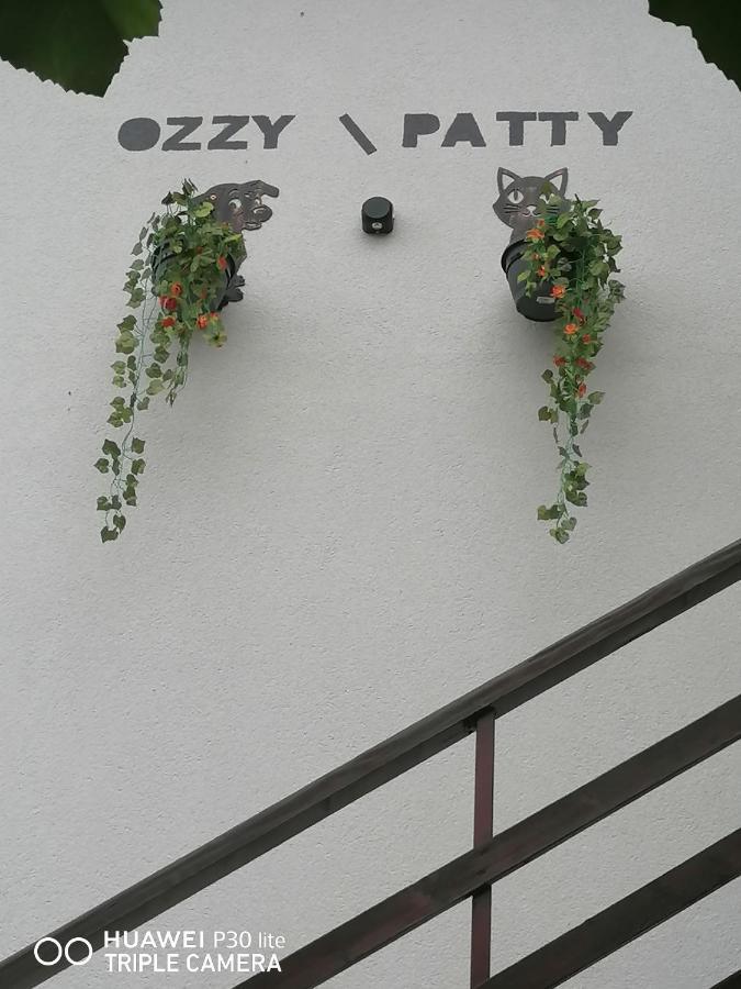 Casa Ozzy&Patty Hotel 2 Mai Exterior photo